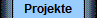 Projekte
